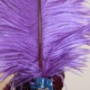 feather headress